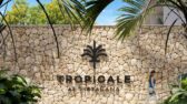 Tropicale - Entrada Proyecto 2